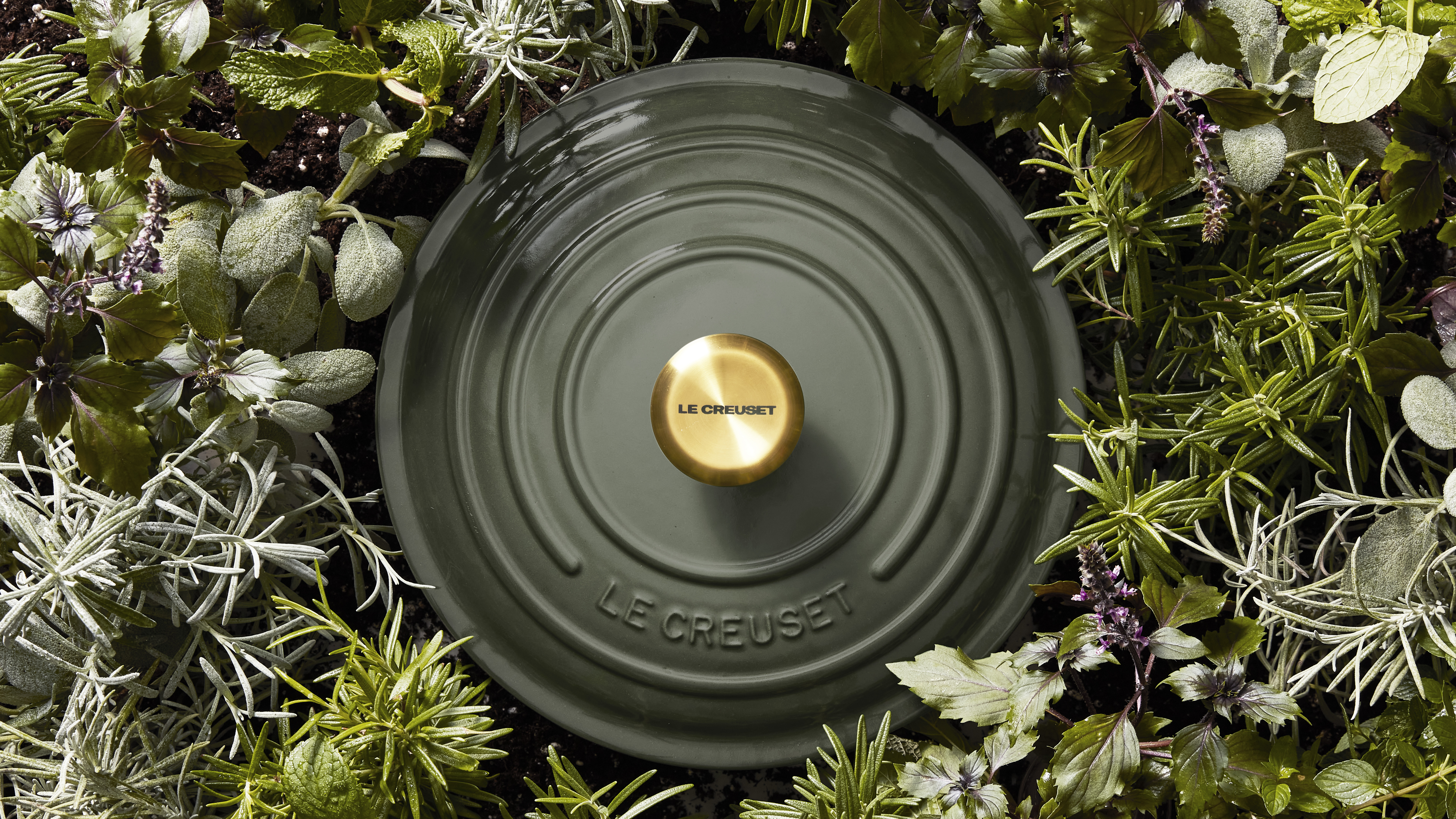 Exclusief bij Gloudemans Koken en Kado; Le Creuset Thyme